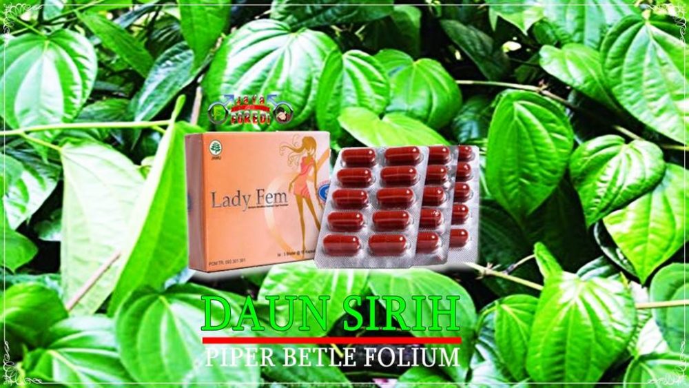 Komposisi Ladyfem mengandung herbal daun sirih